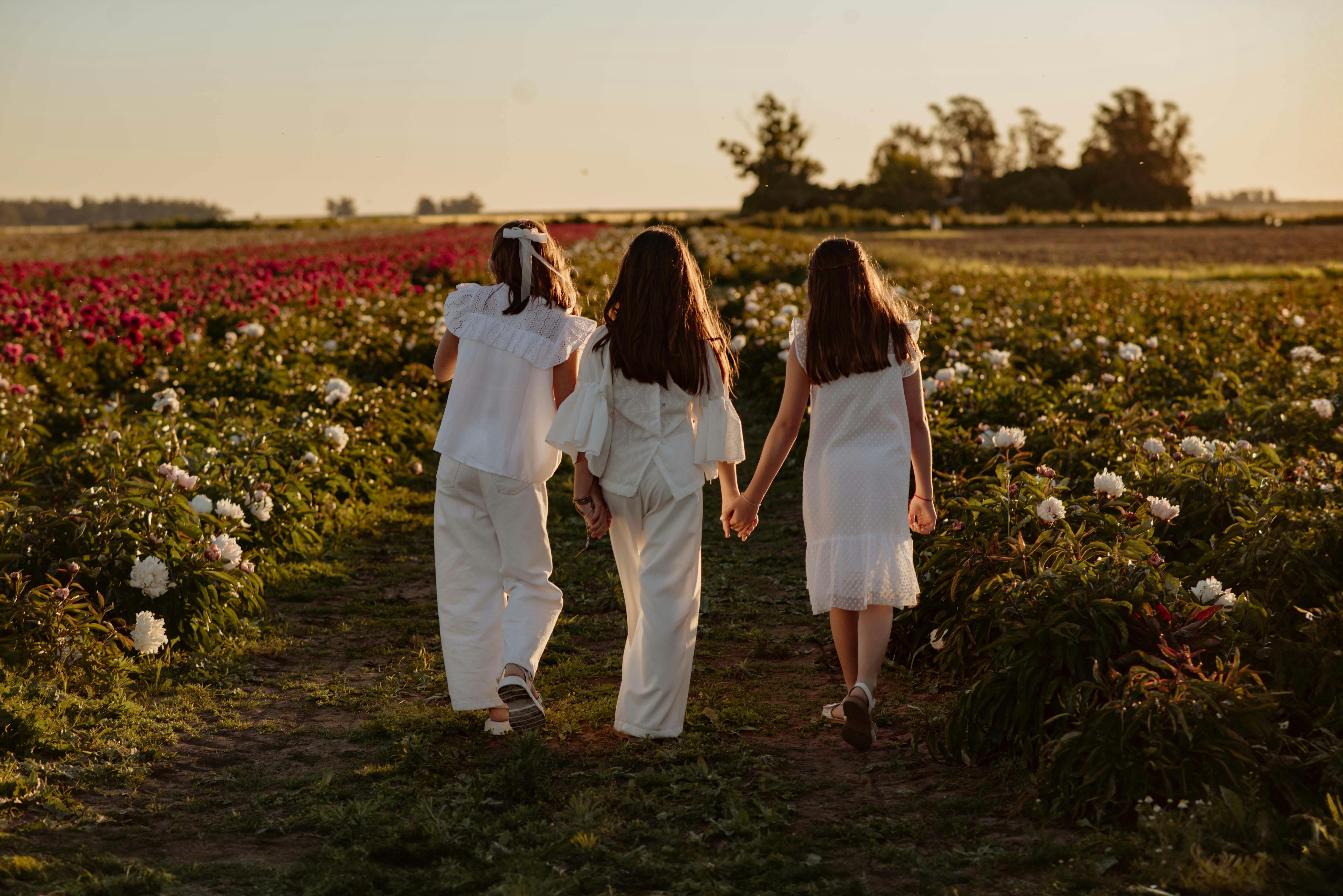 分类封面图:现代室内光影