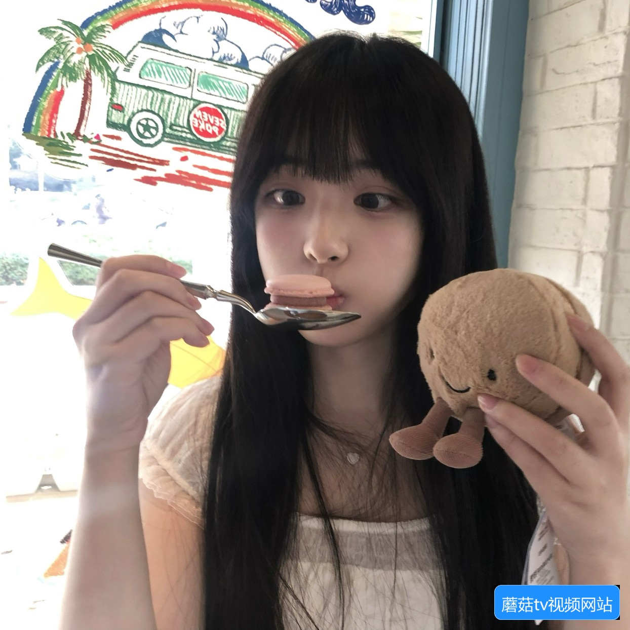 蘑菇tv视频网站