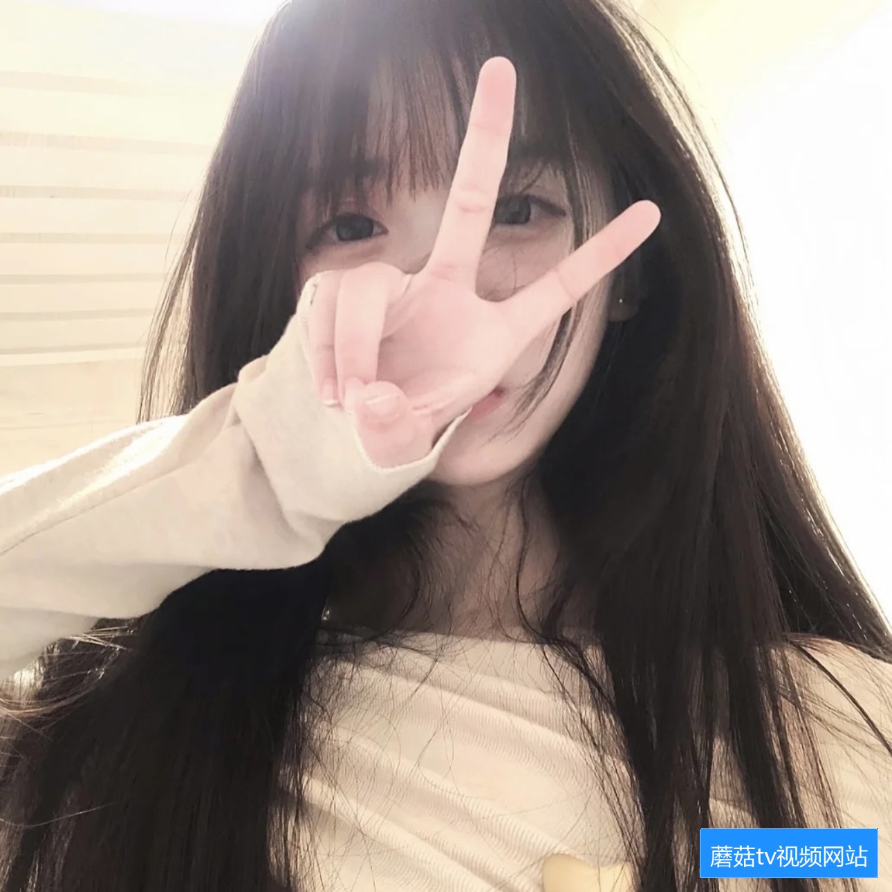 蘑菇TV官网有哪些功能和使用方法介绍