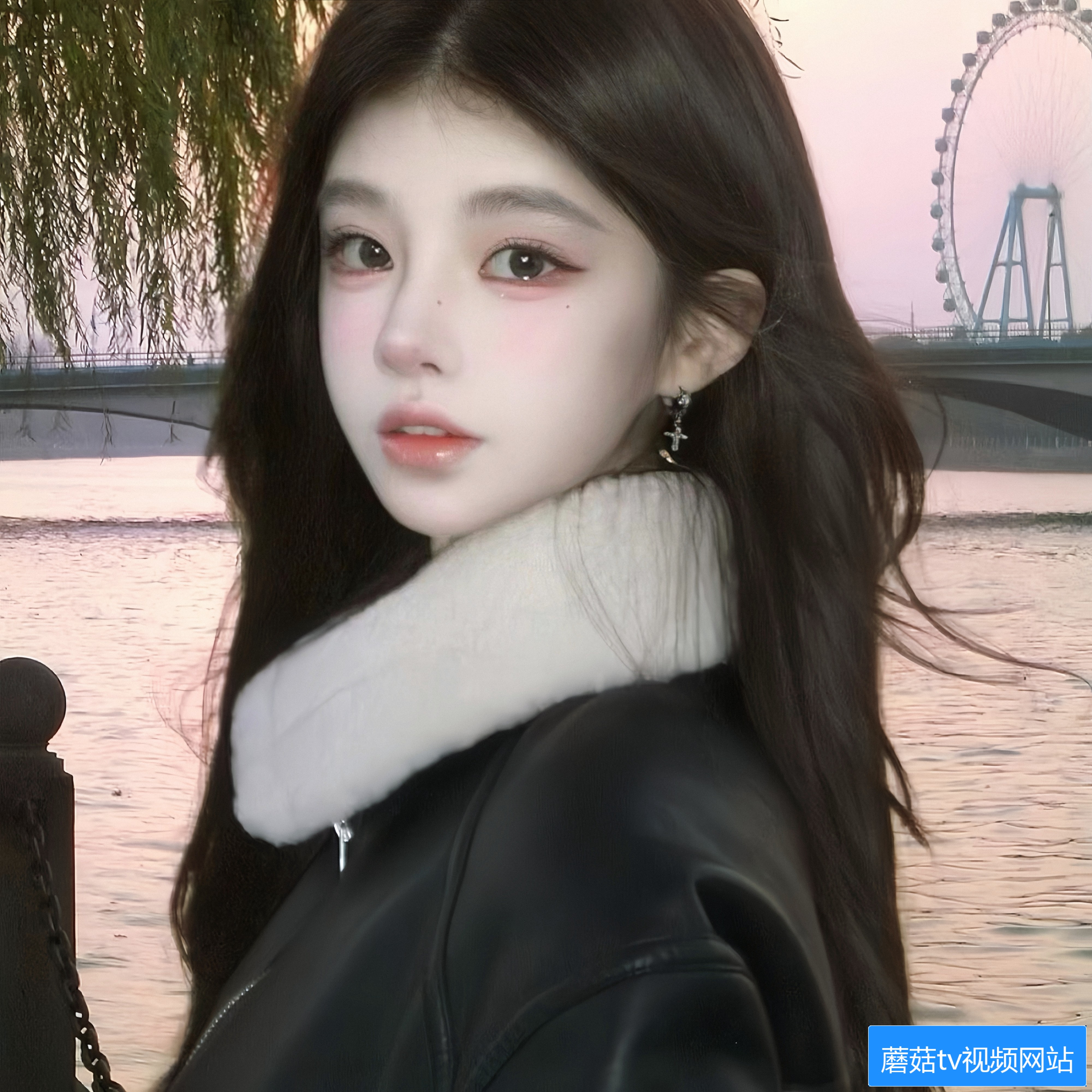 蘑菇TV官网有哪些功能和使用方法介绍